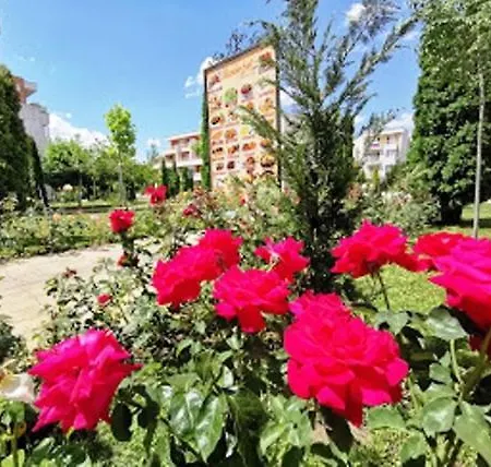 Apartman Studio Moni Napospart